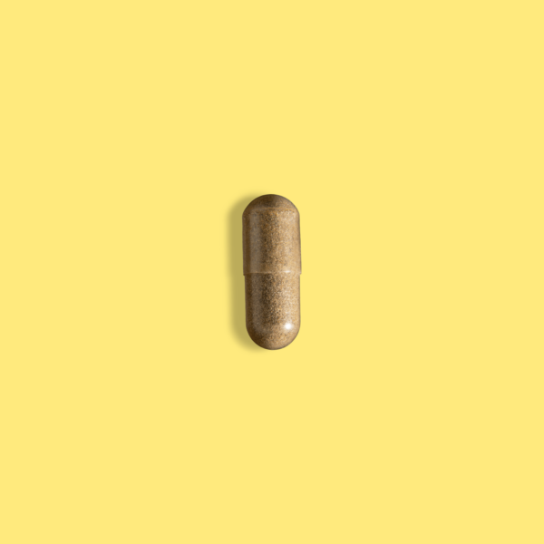 cordyceps-vitasmart